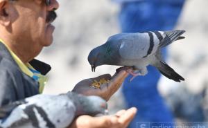 U Sarajevu danas sunce i 21 stepen: Kakvo će vrijeme biti u narednim danima